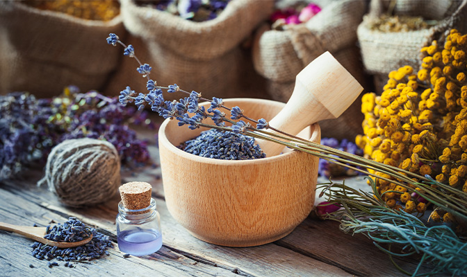 Evdeki Böcek Sorununa Karşı Doğal Çözüm Yöntemleri Nelerdir?